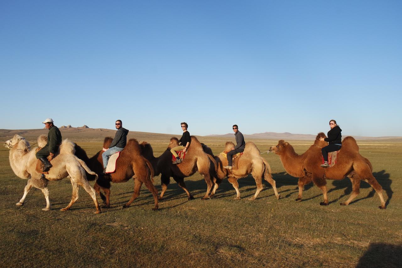 Gobi - Zen Otel Ulan Batur Dış mekan fotoğraf